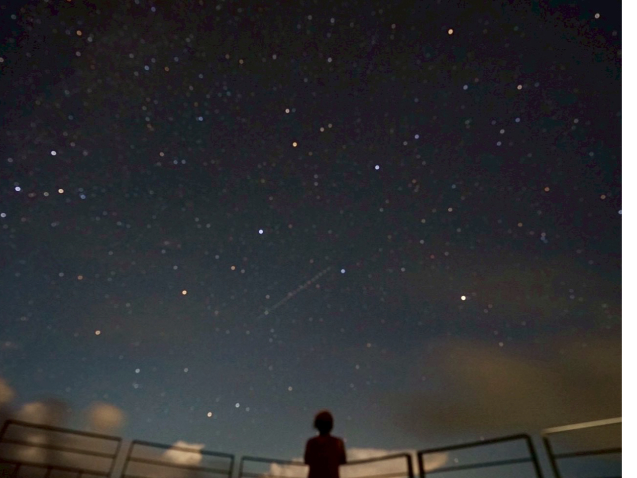 ÂȖɍL閞V̐BvēȂł͂̈|IȐ薞ił܂B