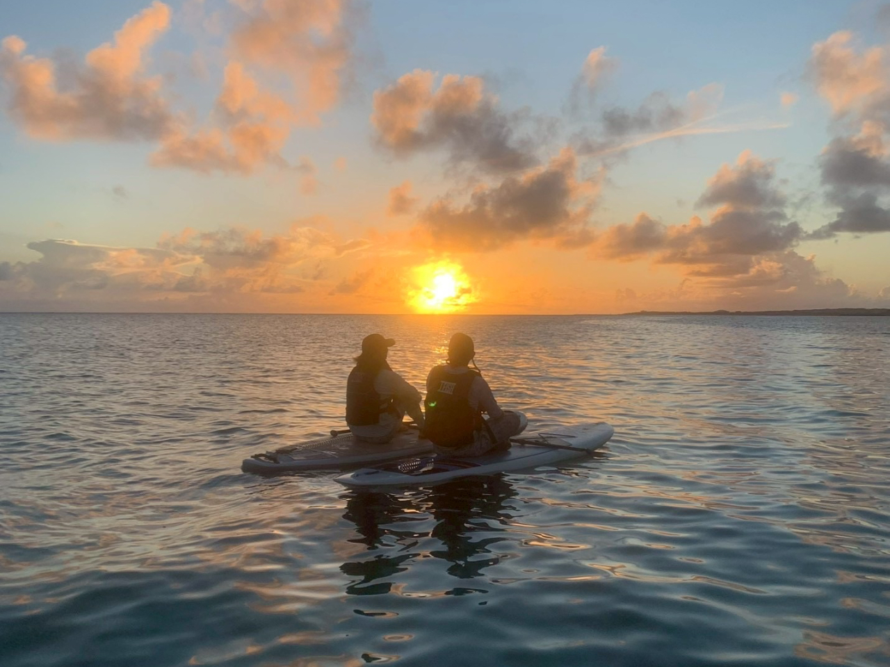 Jbv₲vwŁAꐶɈx̎voc܂񂩁H