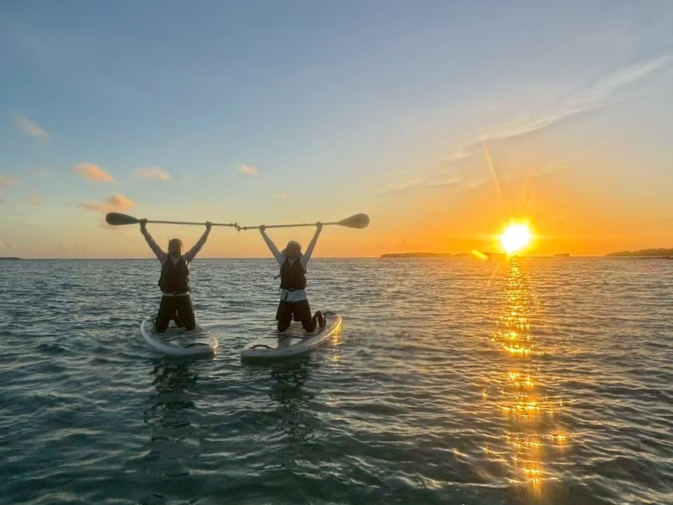 ���N�����āA�S���̂����N�Ɂ�1���̃X�^�[�g���C�����悭��