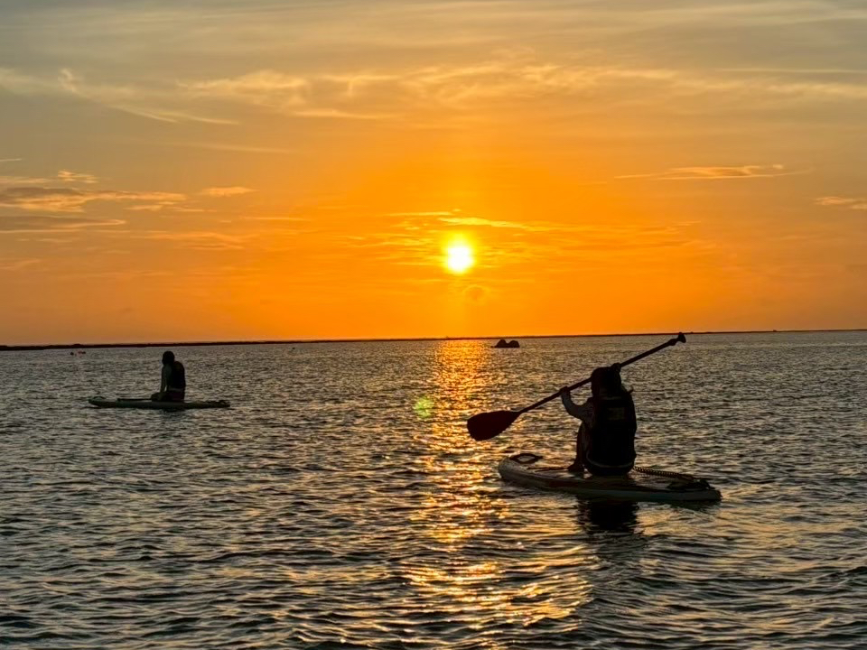 ���q�l���Q�������܂��I�K�C�h�����S�Ƀ|�C���g�܂ł��ē��v���܂�