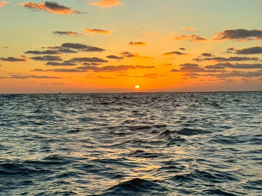 ����̏I�����Ō�܂Ō��͂���܂��B�v�ē����ґ�ȑ̌����B