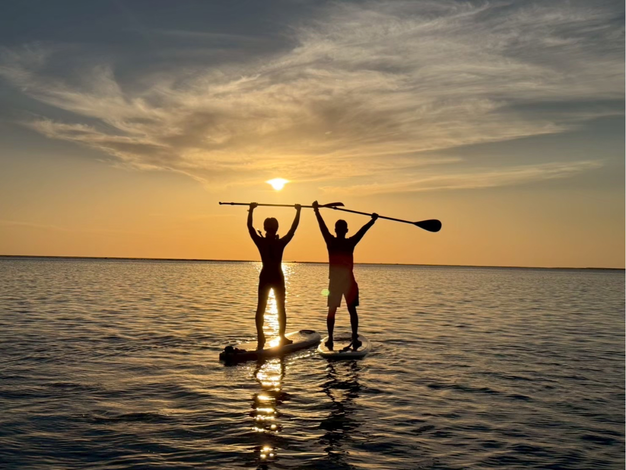 �F�l���m�ōō��̎v���o���B���̋�֊肢�����߂āB