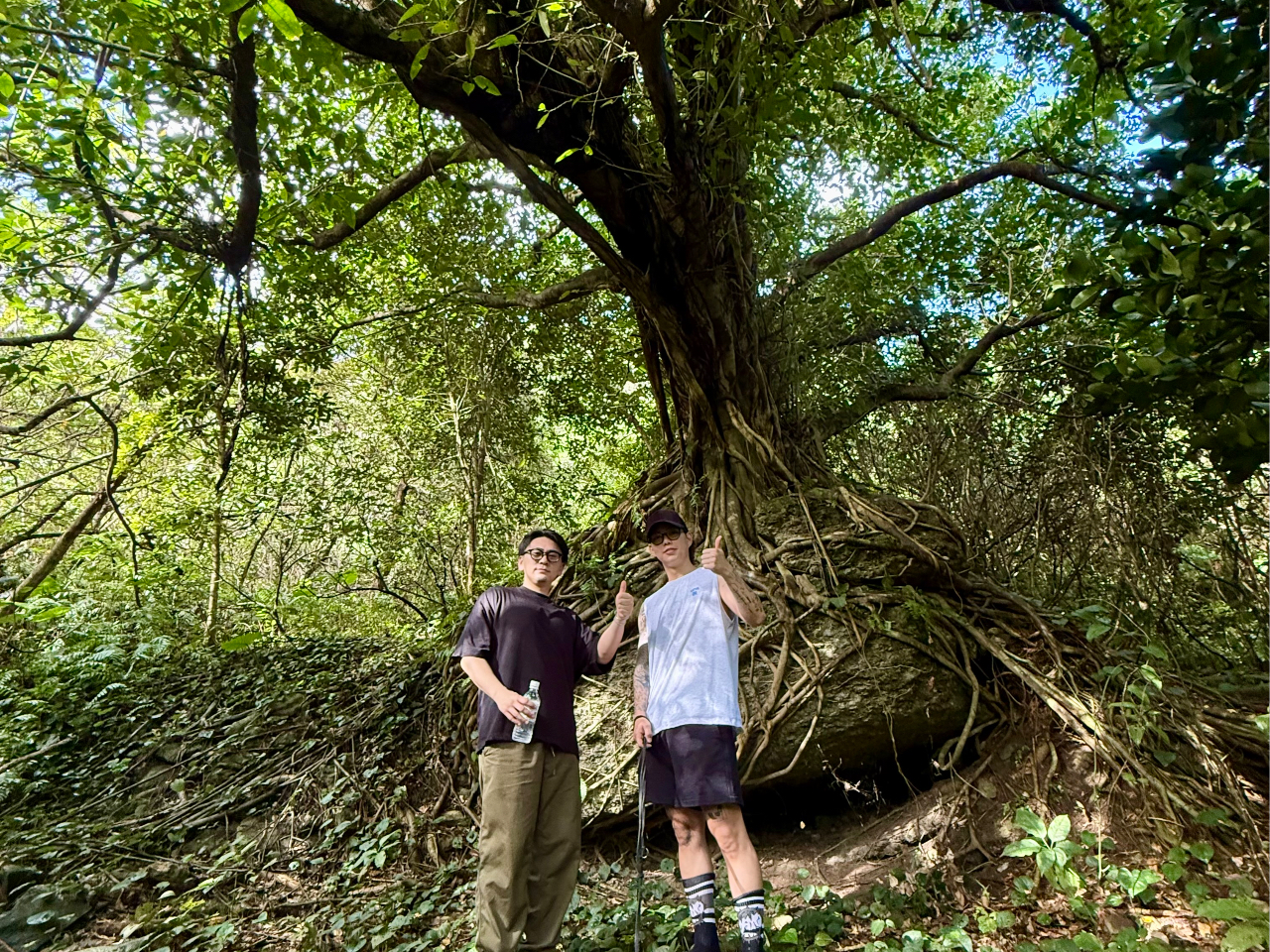 ɗ݂؂͖_B̎Rc鋫ŁA̖`C𖡂킦܂B