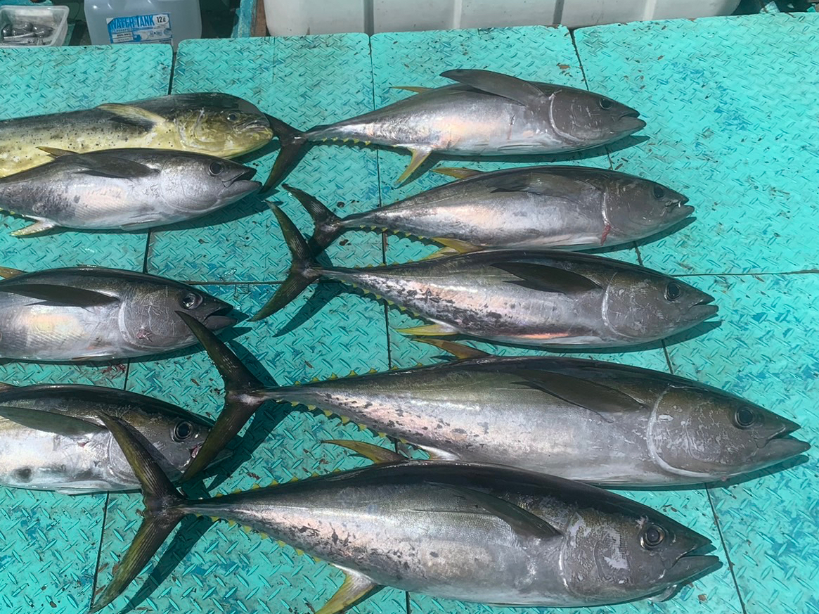 vē̓}ORVĂ̂ŁA^ǂ΂Ȃɂ