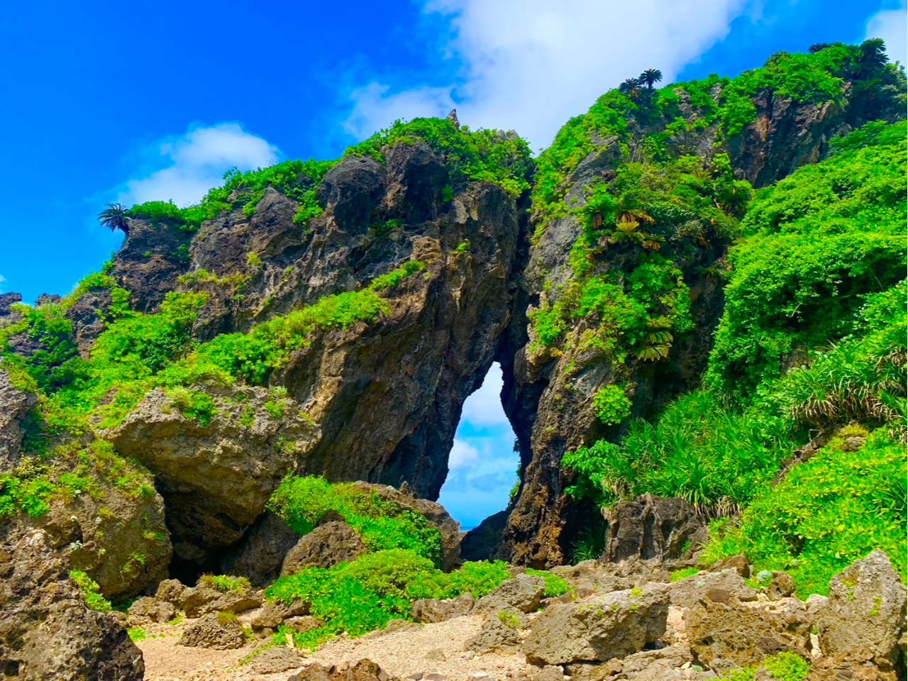 vē̐iX|bgu~[tK[vI_Ci~bNȎRԋ߂Ŋ܂