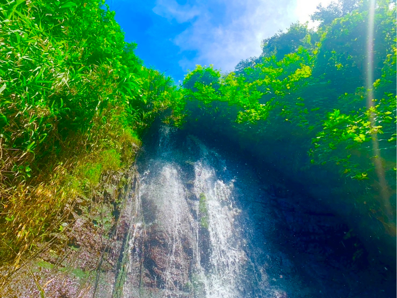 ̗i|Cg֓I}CiXCIȂ玩R̃p[Sgő̊