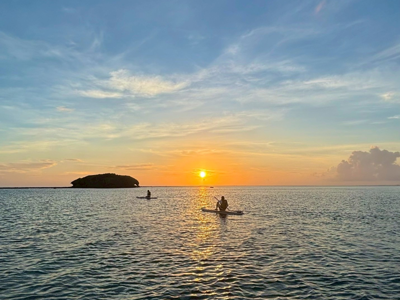 ���Ă��ɐ��܂�v�ē��̊C���L�����n�����i�|�C���g�ցB