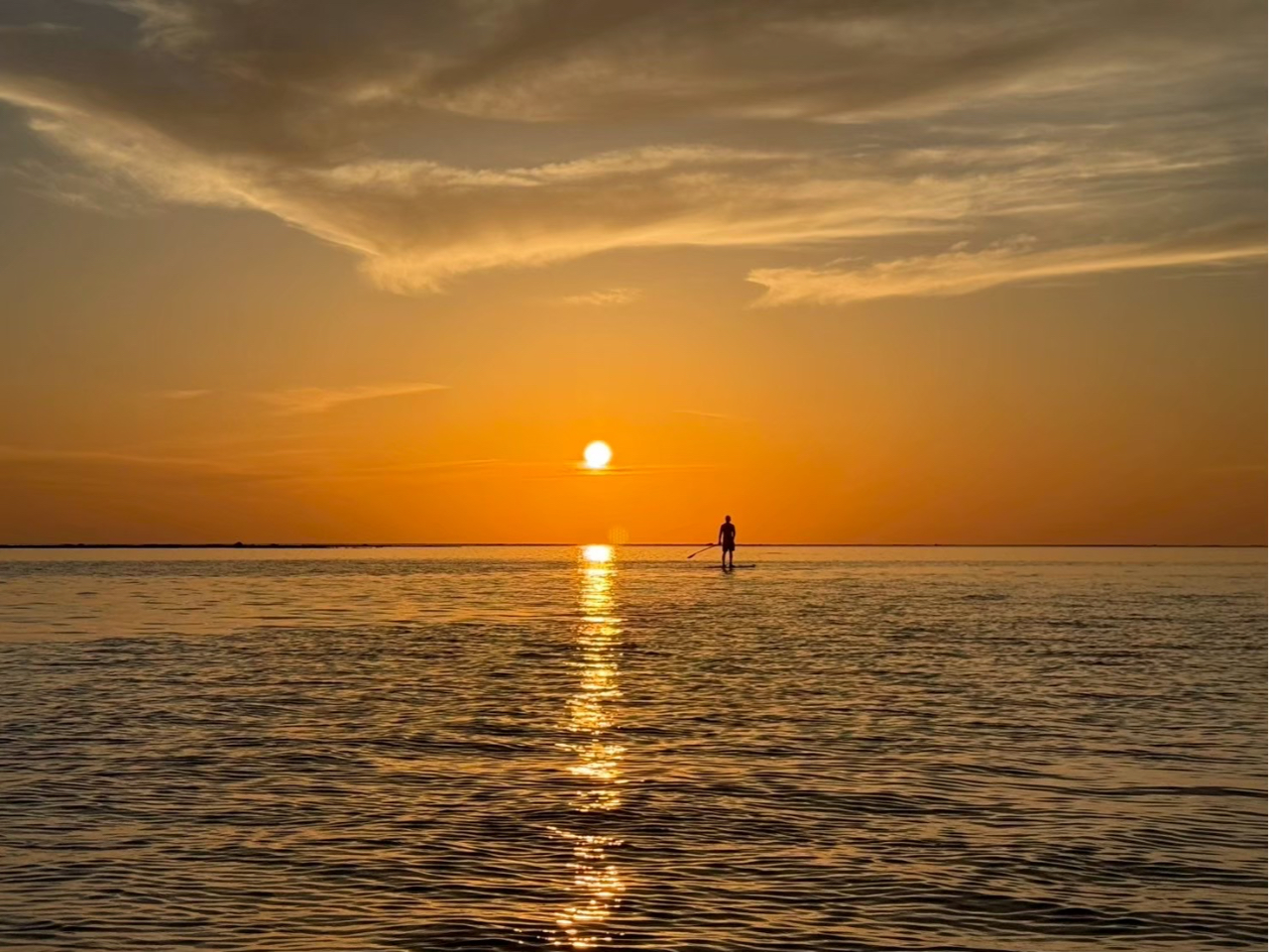 SUP�̏ォ�璭�߂�I�����W�ɐ��܂鐅�����B���ʂȗ[���̐�i��̊��I 