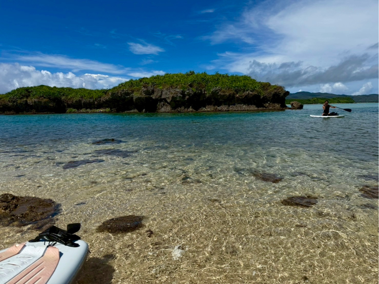 �����ʂ�C�̒����V���m�[�P���I�J���t���ȔM�ы���E�~�K���Ƃ̏o����҂��Ă��܂� 