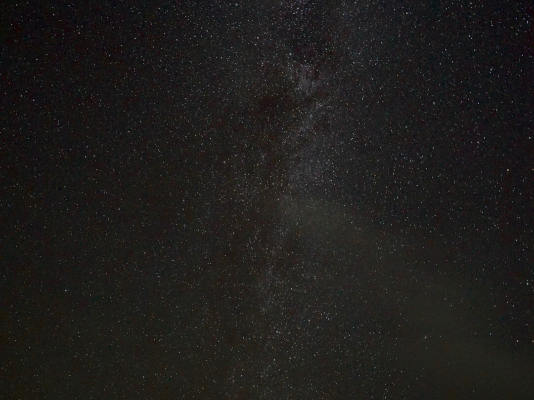 �X���̏��Ȃ��v�ē��Ȃ�ł͂̐���i�C�g��