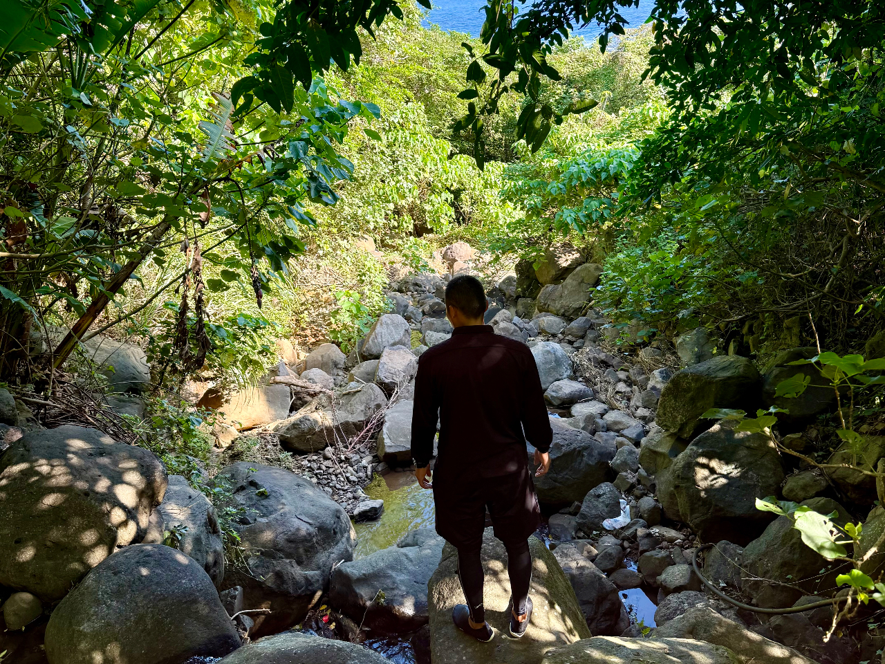 ���₪���Ԏ��R�����������U��B������̐X�ɕ�܂�Ȃ���A�鋫�炵���`���C�������킦�܂��B