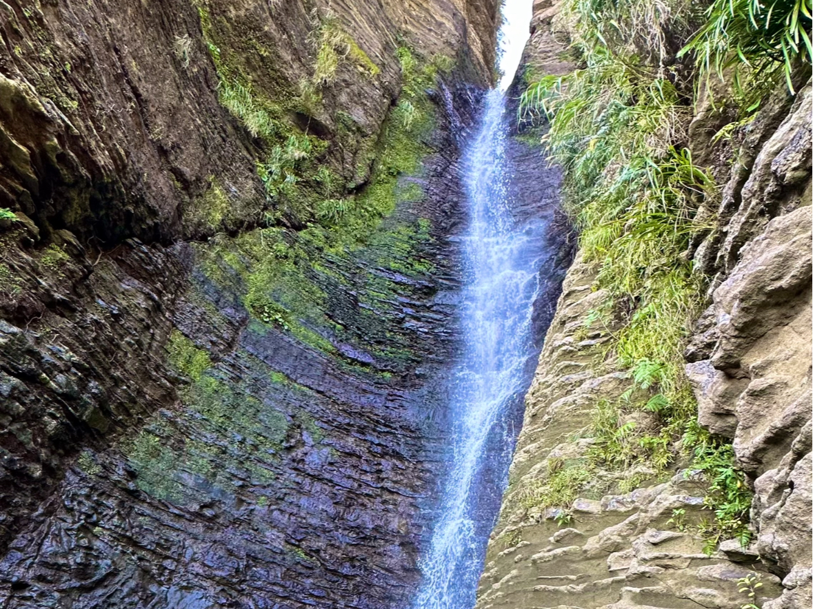 �쉈���̊����悶�o��A�����Ă���̂͋���ȑ�B�B����MAX�̌�