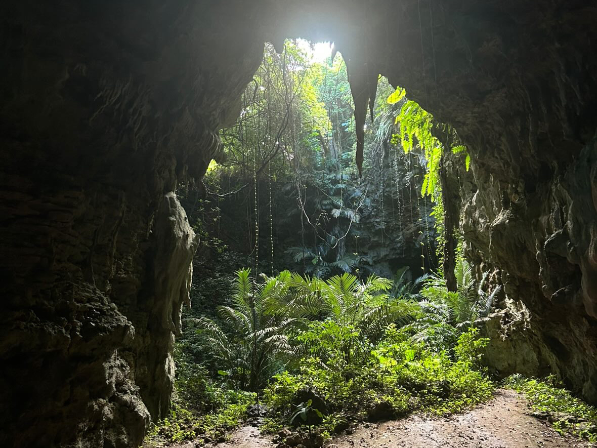 �ߓ����̐�͐_��I�Ȑ��E���҂��Ă��܂���