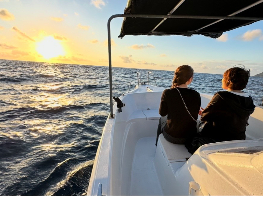 �F�B���m�ōō��̎v���o���c���܂��傤��