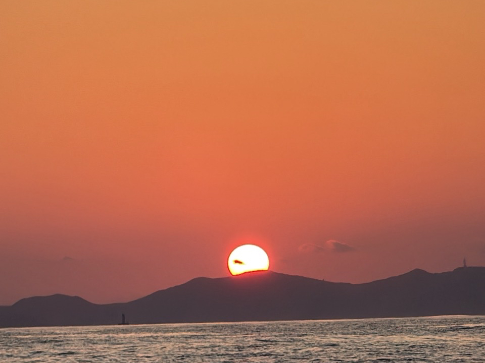 �D�̏�ł�����葾�z�𒭂߂�܂���