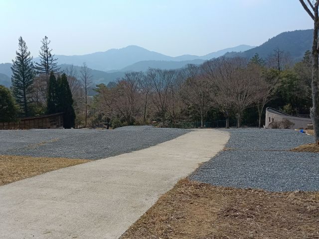 フリーサイト 焚火台OK!