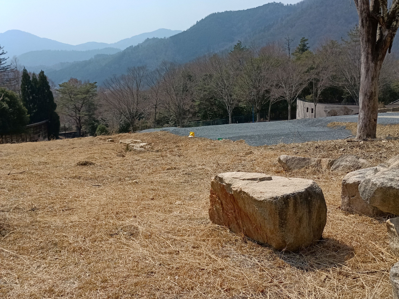 フリーサイト 好きなところでご利用ください