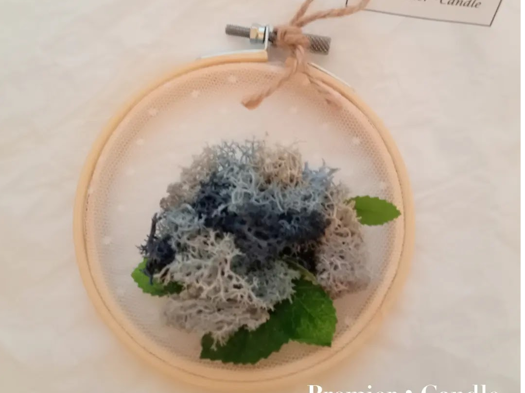 �X�J���f�B�A���X�J���C�h�E���z��