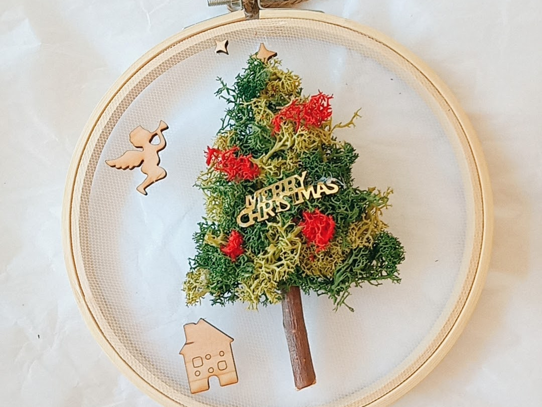 �X�J���f�B�A���X�J���C�h�@�N���X�}�X�c���[