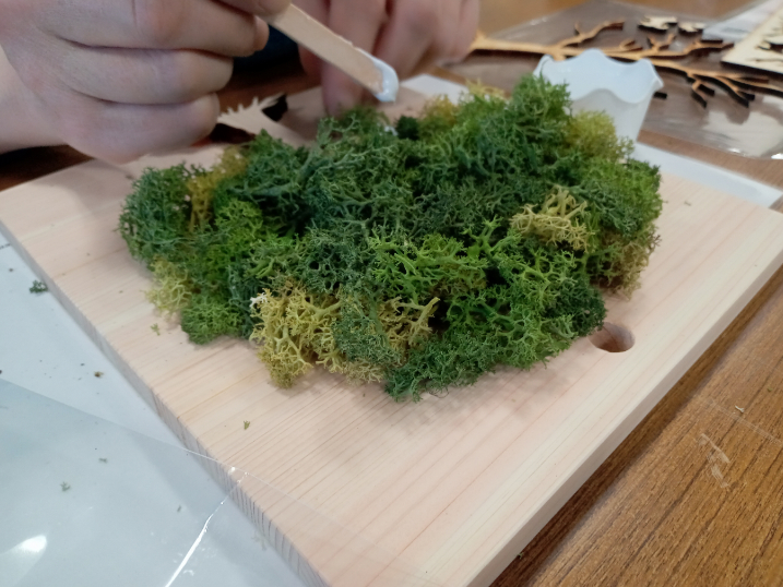 東京都昭島市】苔玉とは違う？！新しい苔体験スカンディアモスアート