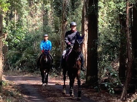 後半の外乗散歩コースです。