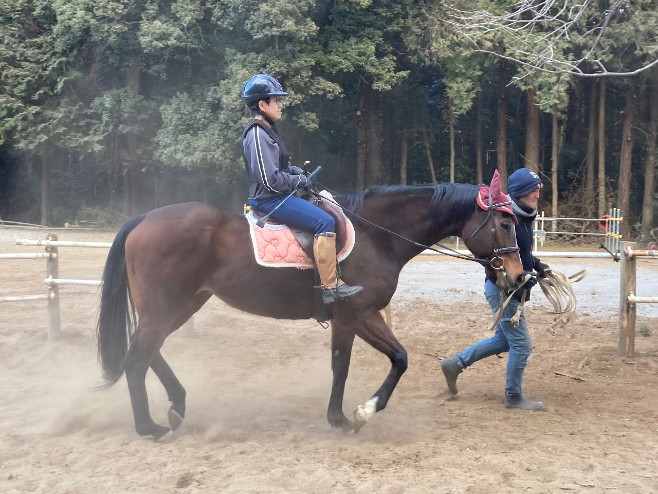 �㔼20���͑���(�͂₠��)�Ƀg���C�B�C�`�j�@�C�`�j�@��2���q�̃��Y���œ����n�̔w���̔����������Ŋ����܂��B