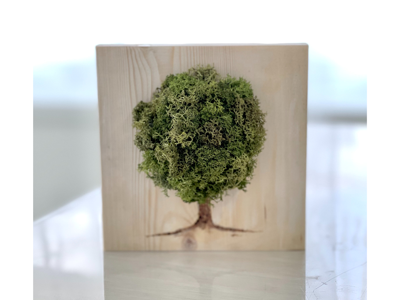 モウセンゴケ 原画 現代アート 絵画 画家 多肉植物 苔 キモカワ ポップ 創作 アフリカで育んだペンキ塗料で魅せる現代アート！ SHOGEN 個展