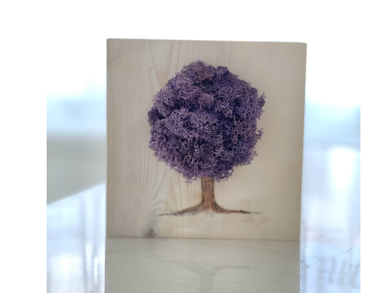 モウセンゴケ 原画 現代アート 絵画 画家 多肉植物 苔 キモカワ ポップ 創作 モウセンゴケ 原画 現代アート 絵画 画家 多肉植物 苔 キモカワ