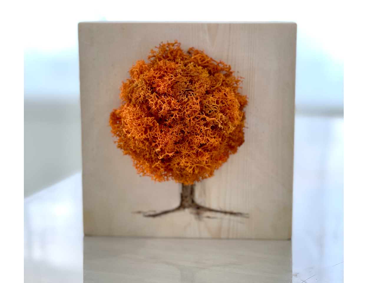 モウセンゴケ 原画 現代アート 絵画 画家 多肉植物 苔 キモカワ ポップ 創作 大きなモスペット制作】マーブルDXコース カップル