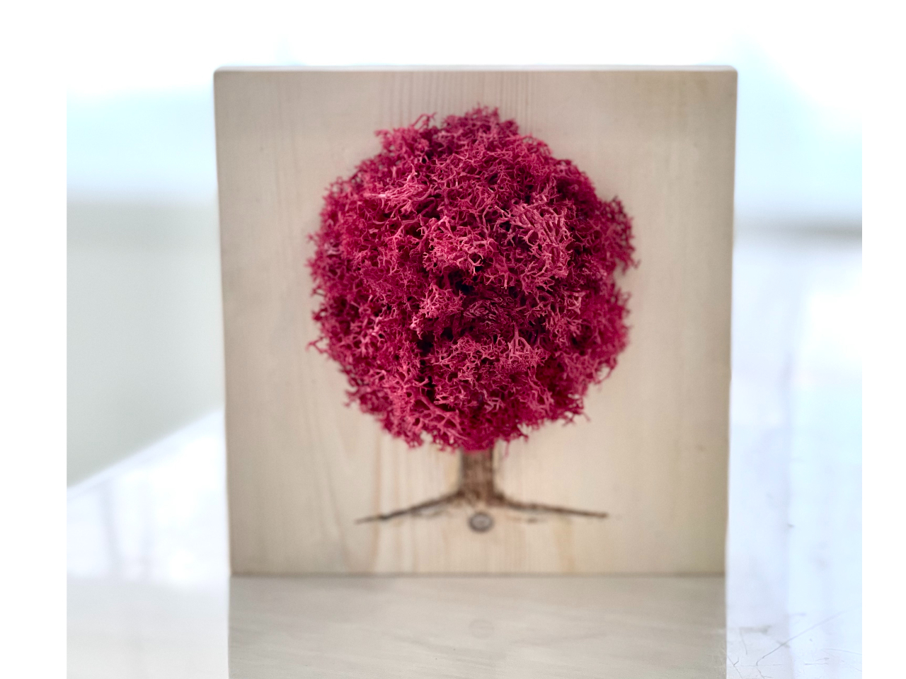 モウセンゴケ 原画 現代アート 絵画 画家 多肉植物 苔 キモカワ ポップ 創作 モウセンゴケ 原画 現代アート 絵画 画家 多肉植物 苔 キモカワ