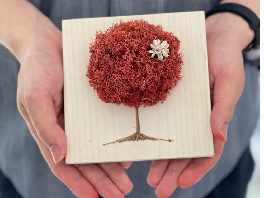 神奈川県小田原市】「もふもふの木」を作ろう♪苔玉とは違う