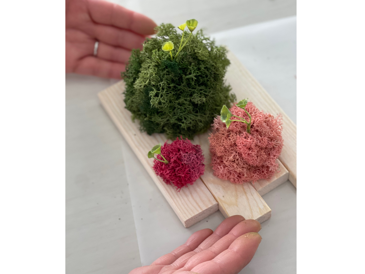 �ۋʂƂ͈Ⴄ�I�͂�Ȃ��A�J�r�Ȃ��I�����Ă���u�ӂ��ӂ��v���X��Z�߂č��o�����X�A�[�g