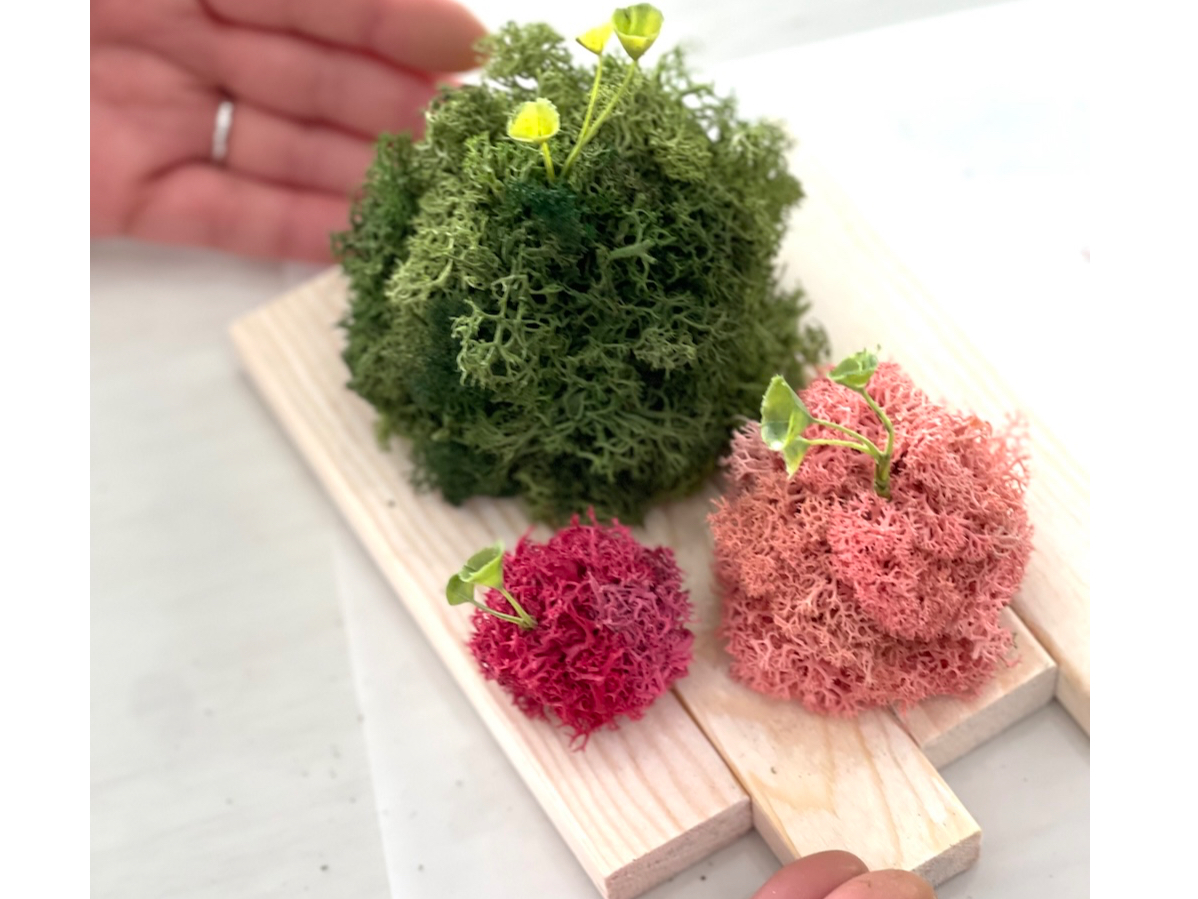 「ふわふわ」「もふもふ」「スカディアモス玉体験」完成!ミディアムグリーン・ピンク・クリムソンカラー