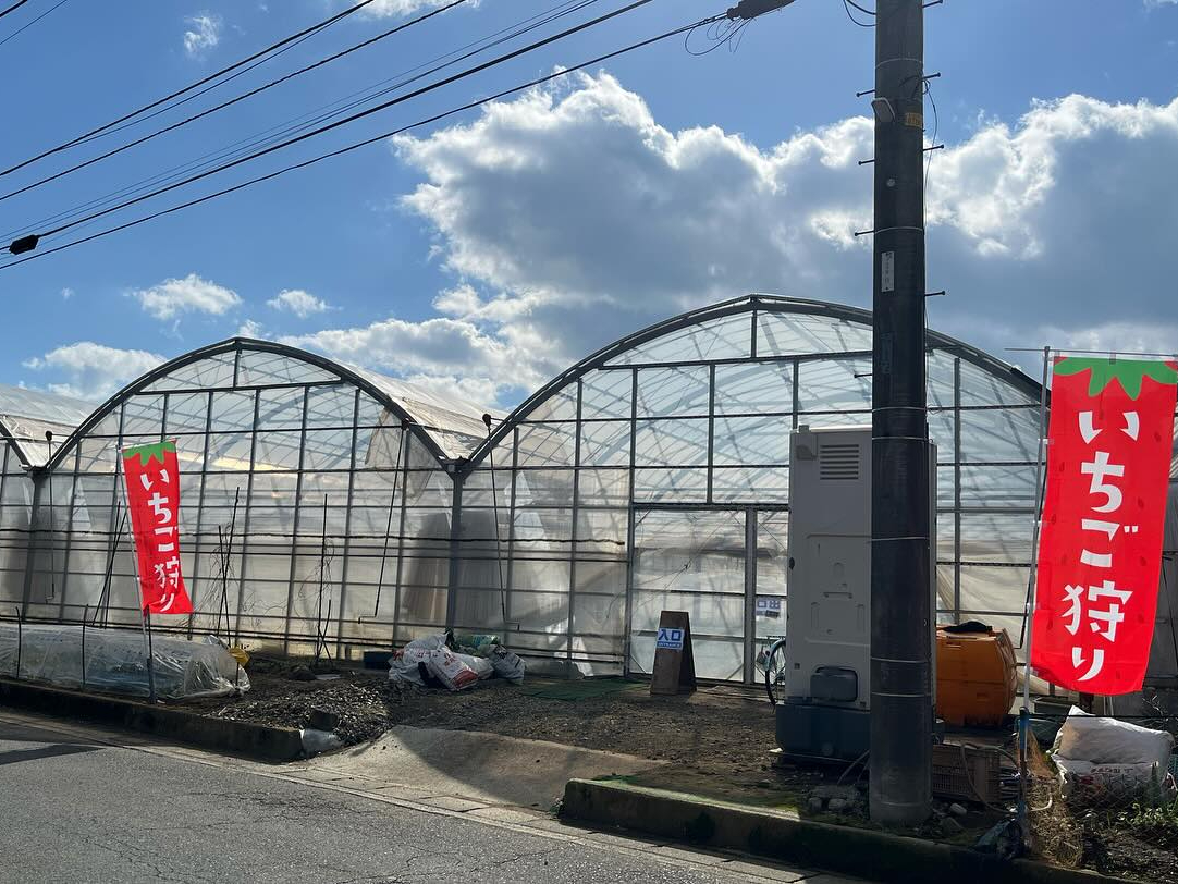 土日のみ限定開催！未就学児500円☆【小田原・螢田駅チカ】いちご狩り