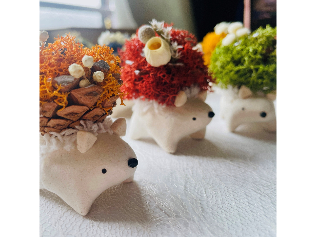 【 埼玉県川越市/カフェドリンク付き】ハリボックリ♪苔玉とは違う？！新しいコケ体...