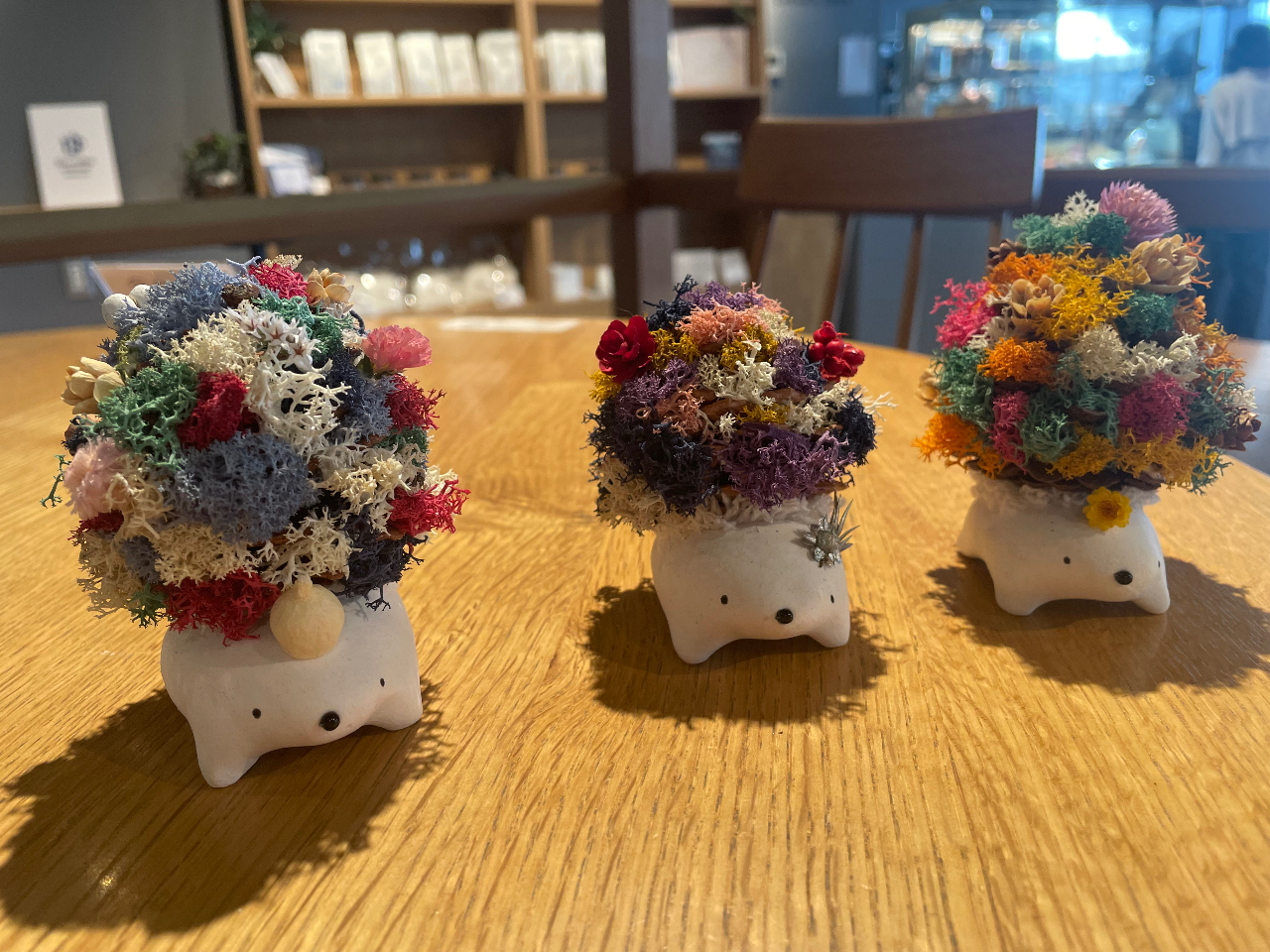 埼玉県川越市】ハリボックリ♪苔玉とは違う!！新しいコケ体験