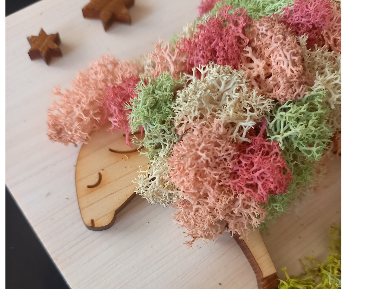 【新潟県新潟市】苔玉とは違う?!新しい苔体験スカンディアモスアート体験~初心者大...