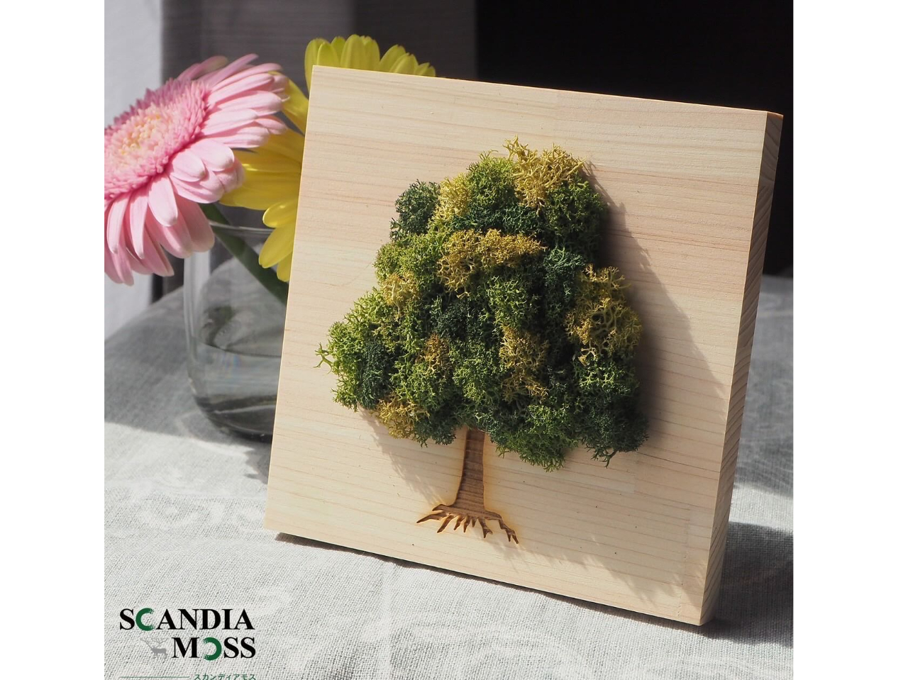 【新潟県新潟市】ミニモスツリー♪苔玉とは違う?!新しい苔体験スカンディアモスアー...