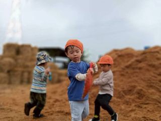 秋にはもみ殻山、藁山が出現!駆け上がってみたり、発掘したりと遊びは無限大