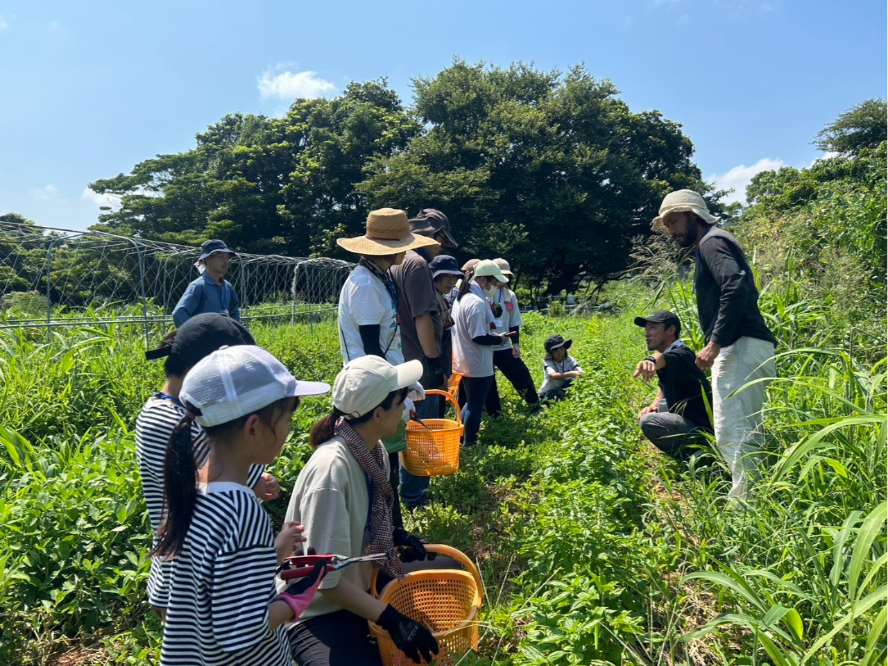 農薬・化学肥料不使用の安心安全・栄養たっぷりなたくましく育つお野菜♪
その時にしか出会えない”旬”の味を、大切な人と楽しみながら収穫してみませんか♪
