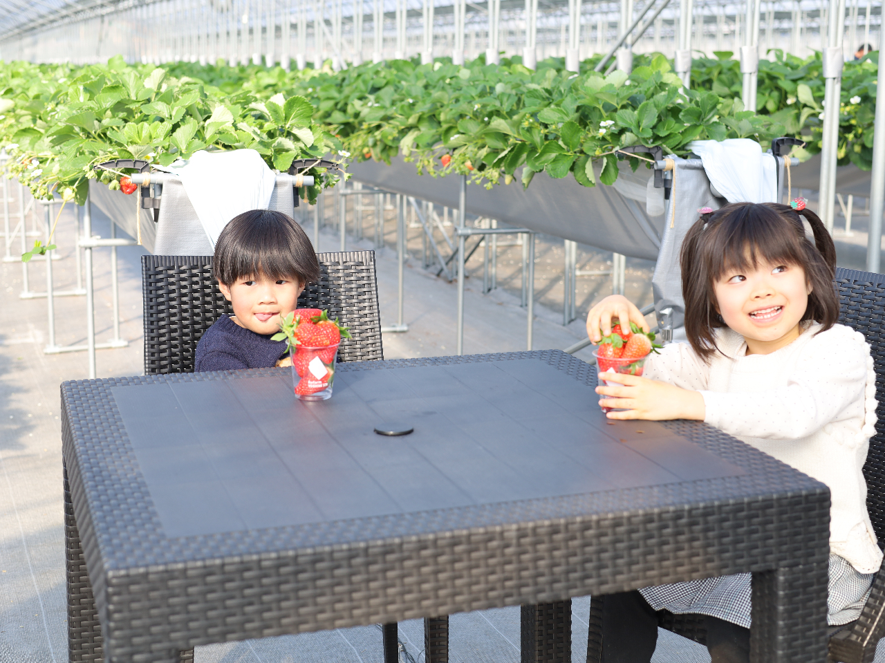 平日限定・カップにいちご詰め放題☆2026年1月OPEN！】最寄り駅から