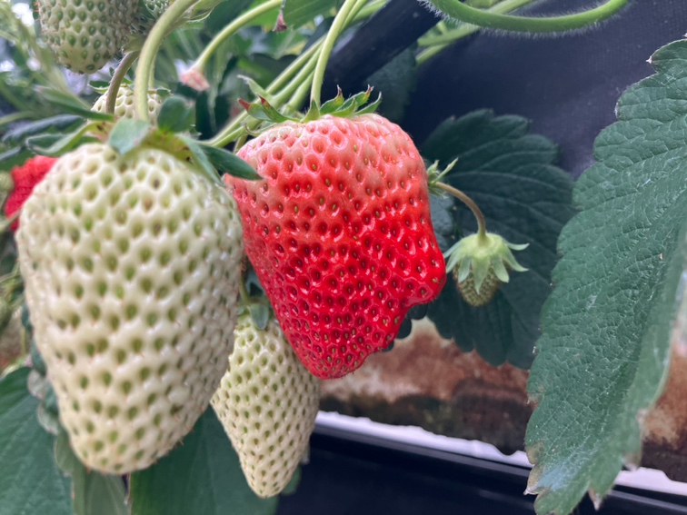 ʐ^Be̓͒[ƏdȂ܂AAA^ԂȂł҂Ă܂I