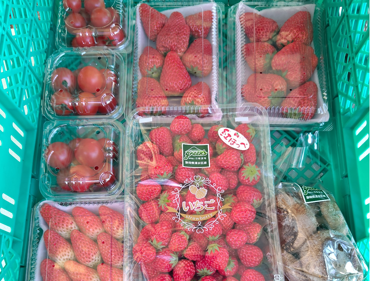 ���y�Y�̍w�����\�ł���