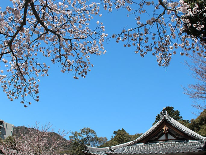 ̎͂̂悤ȌiF邱Ƃł܂