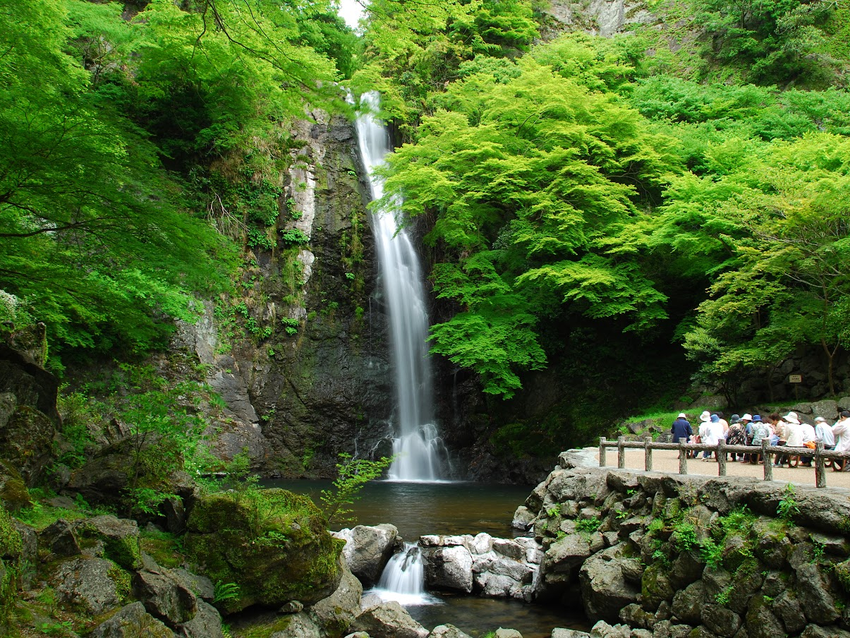 uV̖evƂĒmAu{̑SIvɂI΂Ă閥ʑ