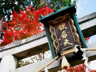 斉明天皇4年(658年)、役行者によって仏教の修行地として開かれた大聖歓喜天と蟲供養で有名なお寺です♪