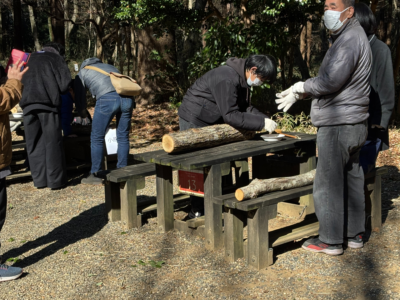 椎茸ホダ木づくり