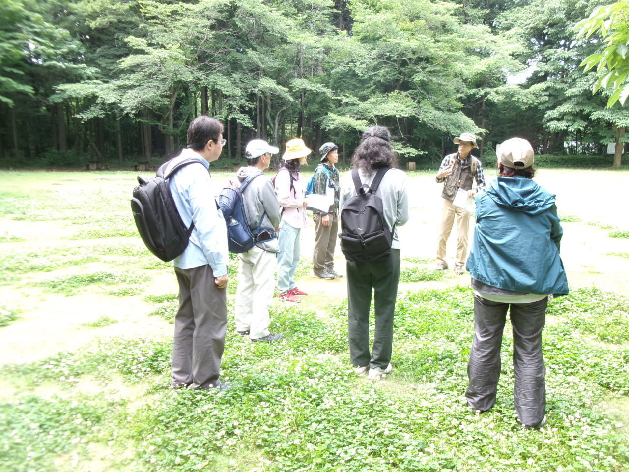 自然ウォッチング(5/17)