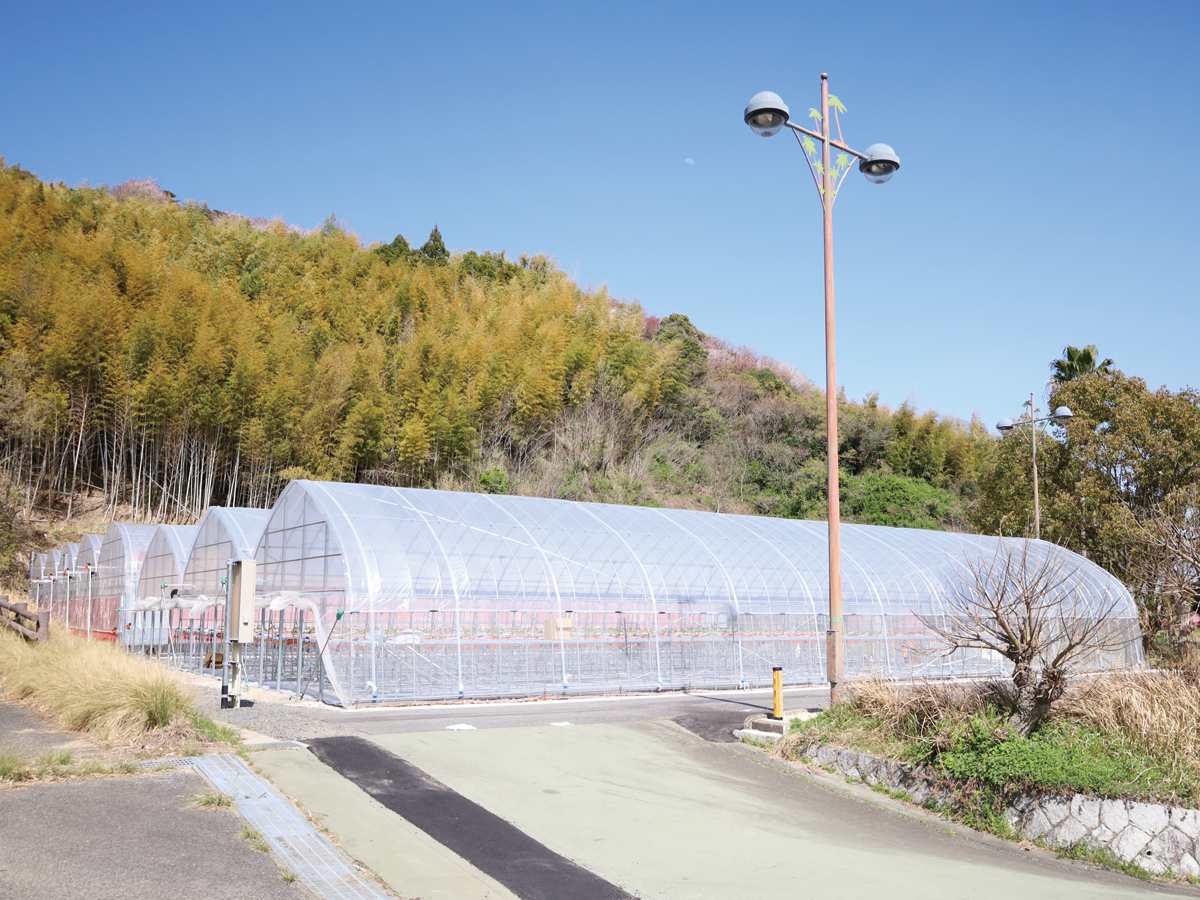 _}bT][g@TUZgh哇אځ^