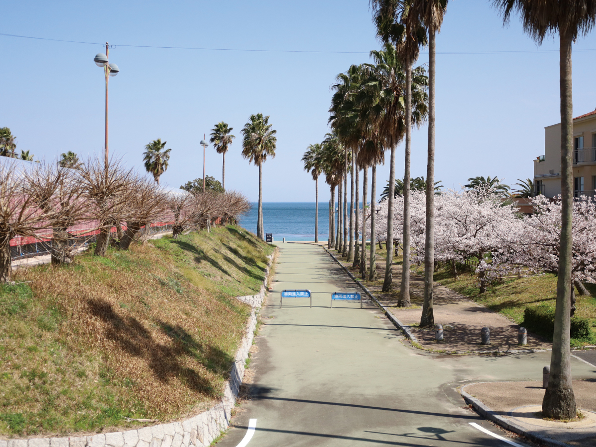 �_���������˓��C��]�ރ��P�[�V�����^